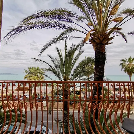 Palm Tree Promenade Nice
